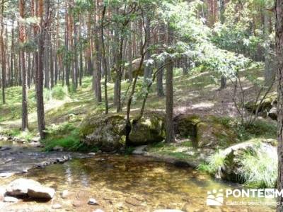 Las Pesquerías Reales - Senderismo Segovia (Ruta de las Pesquerías Reales); sendero del valle